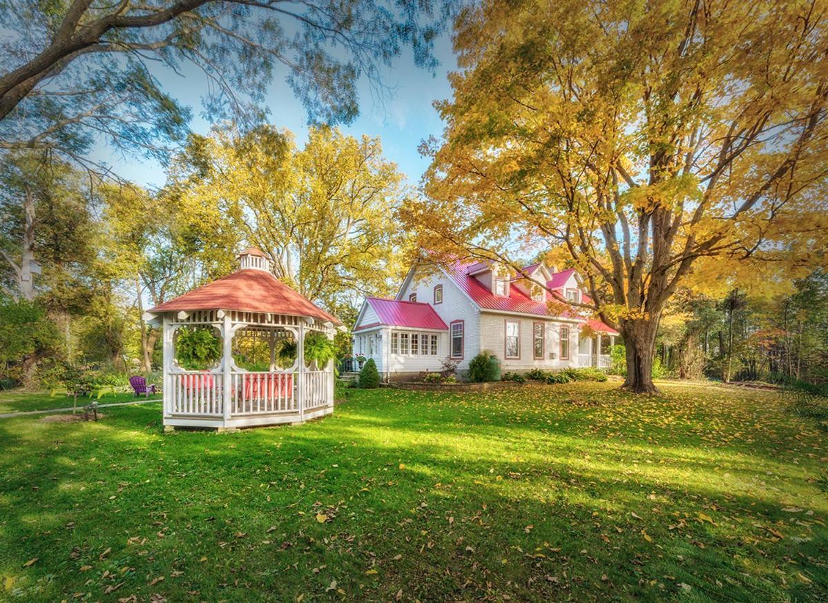 Lionheart Guest House ライオンズ・ヘッド エクステリア 写真
